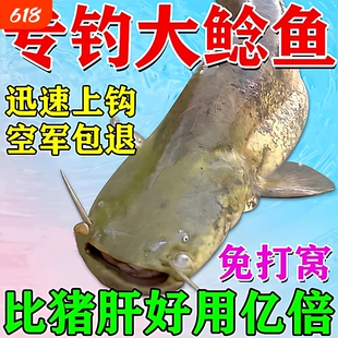 鲶鱼疯钓小药饵料野钓胡子鲶大口鲶塘鲺饲料打窝料诱食剂钓饵黑鱼