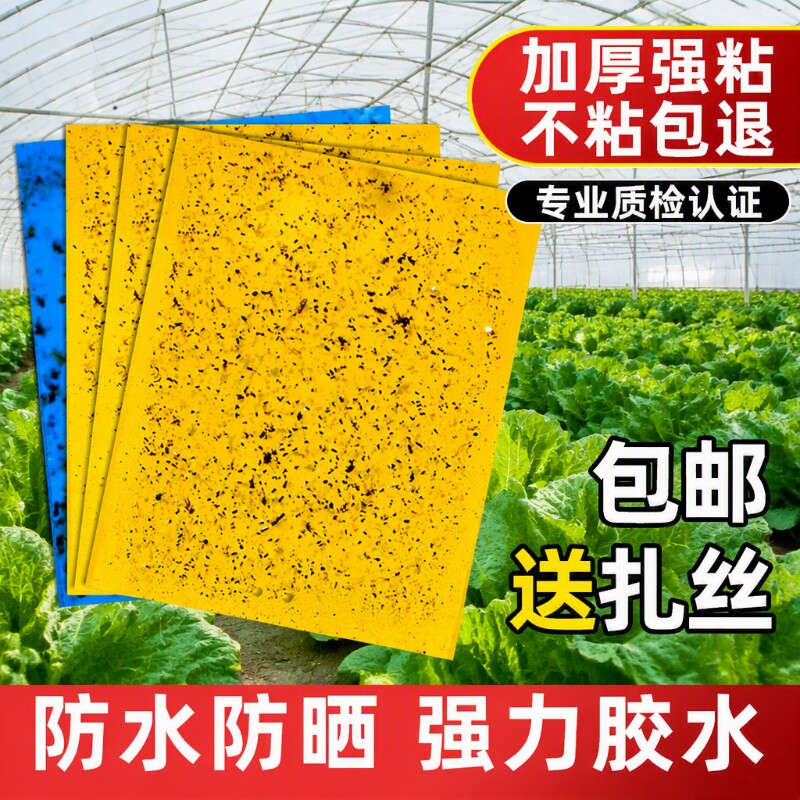 粘虫板黄板双面大棚小飞虫果蝇诱捕器粘蚊贴苍蝇贴粘蝇纸强力蚊子