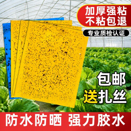 黄板双面粘虫板粘力超强防水耐用
