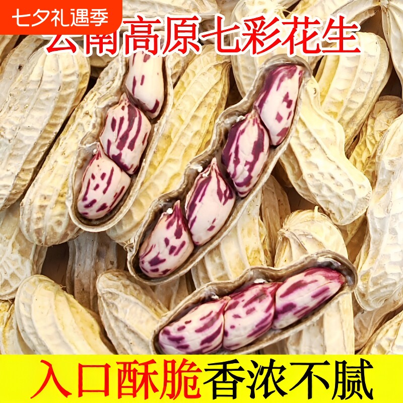 2026新货七彩花生云南普洱晒干五彩水煮咸干新鲜健康散装特色酥脆