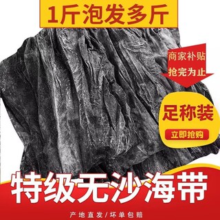 海带正宗福建霞浦无沙海带肉厚特级干货精选整条海带昆布批发商用