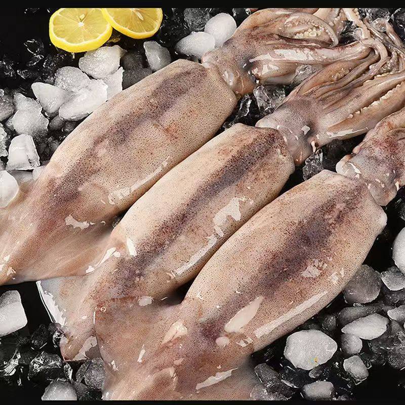 整条大鱿鱼鲜活冷冻鱿鱼鱿鱼须墨鱼八爪鱼新鲜深海野生海捕烧烤,水产肉类/新鲜蔬果/熟食,冷冻鱿鱼,淘宝优惠券,粉丝福利购,淘宝优惠卷