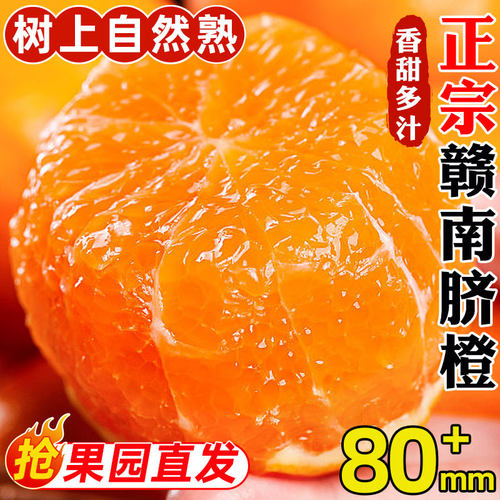 正宗江西赣南脐橙水果当季现摘手剥甜橙子大果新鲜水果手剥