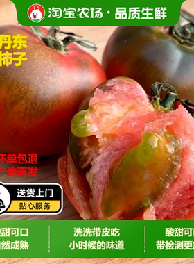 顺丰正宗铁皮丹东柿子盐碱地西红柿草莓新鲜自然水果现摘成熟番茄