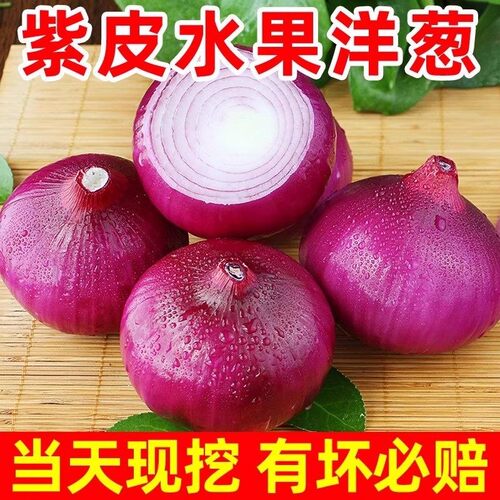 新鲜洋葱紫皮云南现挖水果葱头农家自种9斤批发蔬菜脆甜爽口优质