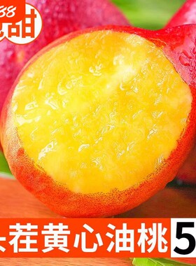 黄心油桃新鲜应季大桃子现摘水果水蜜脆桃清香脆甜多汁整箱包邮