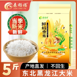 五常新米 5 斤东北黑土地孕育煮饭软糯香甜核心产区直供当季鲜米