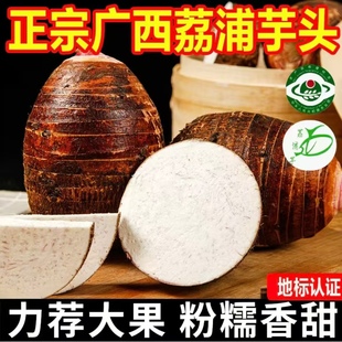 广西正宗荔浦芋头粉糯干香槟榔芋头包粉糯紫色花纹新鲜芋头