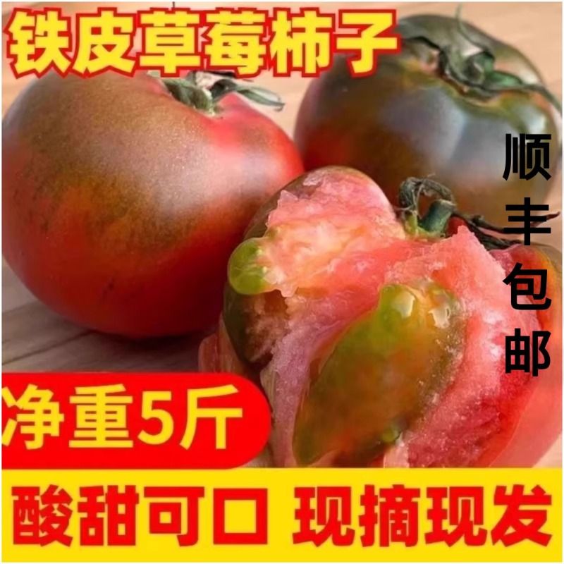 正宗丹东草莓柿子西红柿新鲜碱地铁皮柿子自然熟生吃水果番茄顺丰