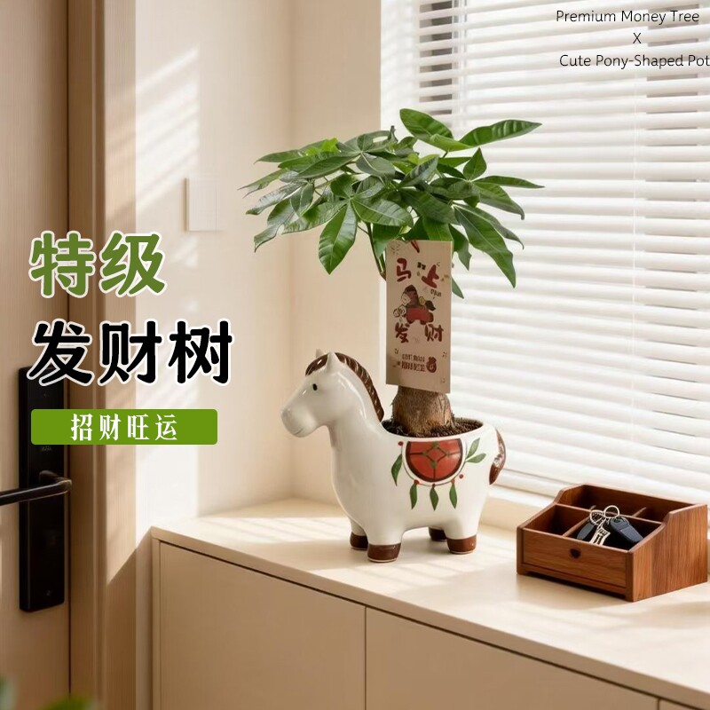 马上发财小马发财树小盆栽摆件办公室内桌面绿植物马年伴手礼招财