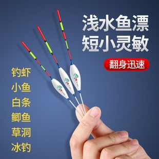 浅水草洞鱼漂白皮漂鲫鱼钓虾短尾加粗醒目纳米浮漂高灵敏度冰钓漂