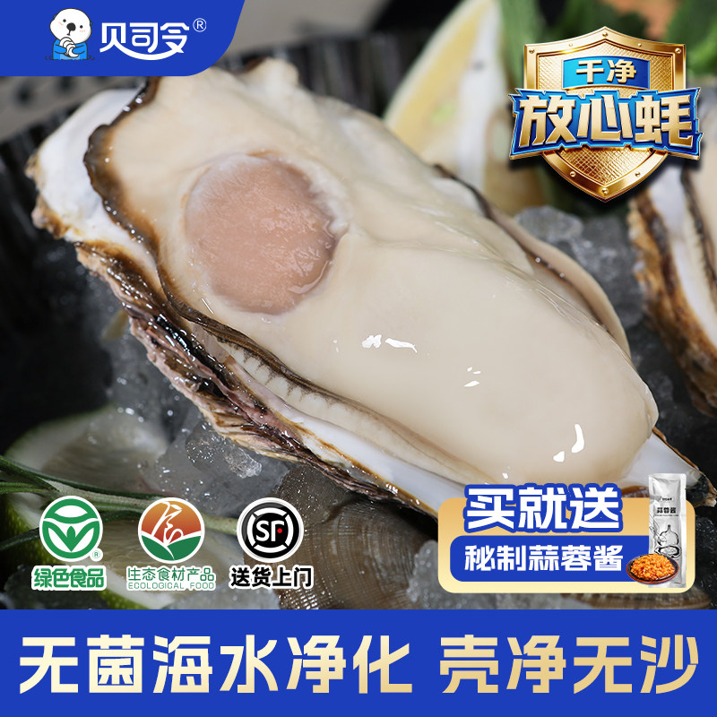贝司令乳山鲜活生蚝净重5斤 绿色生态蚝王牡蛎海蛎子品质海鲜蚝肉