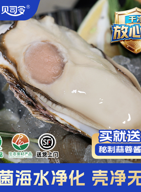 贝司令乳山鲜活生蚝净重5斤 绿色生态蚝王牡蛎海蛎子品质海鲜蚝肉