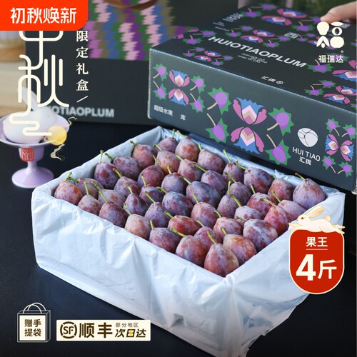 正宗新疆西梅中秋礼盒
