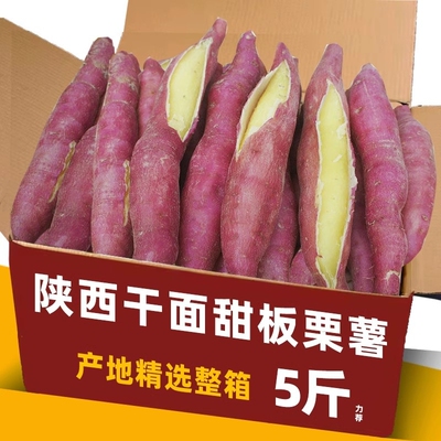 板栗红薯9斤新鲜沙地蜜薯板栗地瓜香薯山芋农家自种现挖红皮黄心