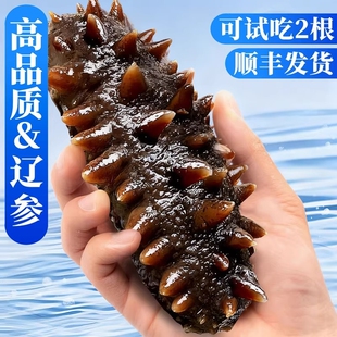 大连海参鲜活辽参即食鲜食野生海渗开袋干货礼盒水产冷冻年货节
