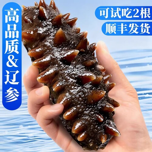大连海参鲜活辽参即食鲜食野生海渗开袋干货礼盒水产冷冻年货节