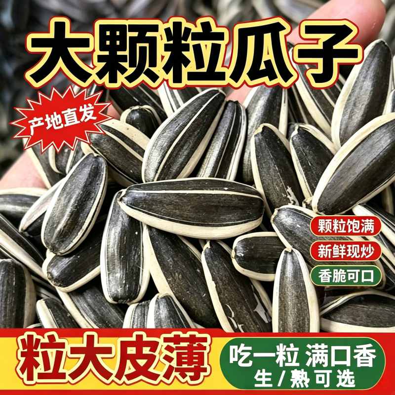 内蒙新鲜炒熟生瓜子原味大颗粒新货葵花籽零食批发5斤装炒葵花盘