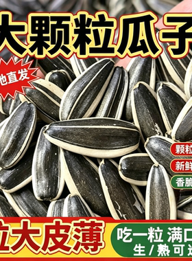 内蒙新鲜炒熟生瓜子原味大颗粒新货葵花籽零食批发5斤装炒葵花盘