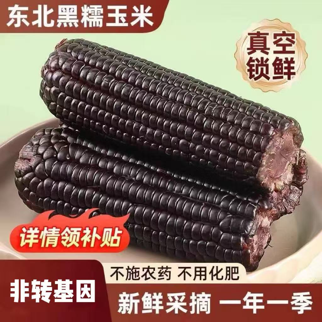 东北黑玉米苞米真空装香甜2025年新鲜玉米独立真空装香甜代餐