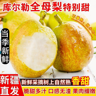 正宗新疆库尔勒香梨全母梨农家当季脆爽香甜新货顺丰包邮