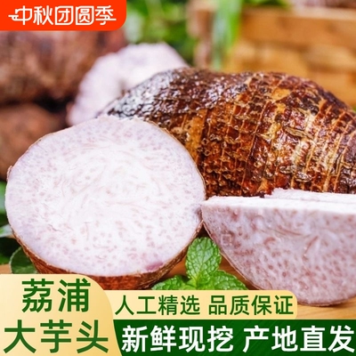 正宗荔浦槟榔芋软糯干香粉面