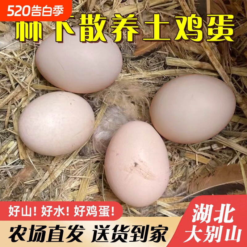 新鲜鸡蛋湖北农家散养土鸡蛋50枚柴鸡下虫草谷物鲜蛋现捡现发无菌