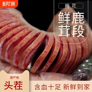 顺丰发货新鲜梅花鹿茸整枝切片蜡片泡酒煲汤鹿茸带血切片100g中段