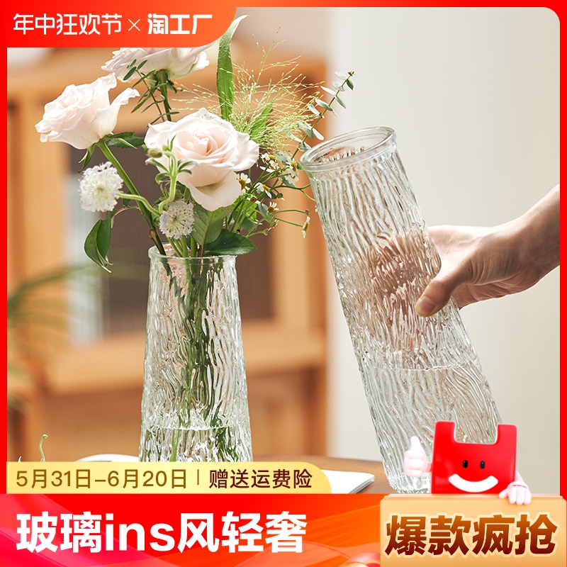 花瓶玻璃轻奢高级感透明水养鲜花客厅插花摆件卧室台面现代桌面