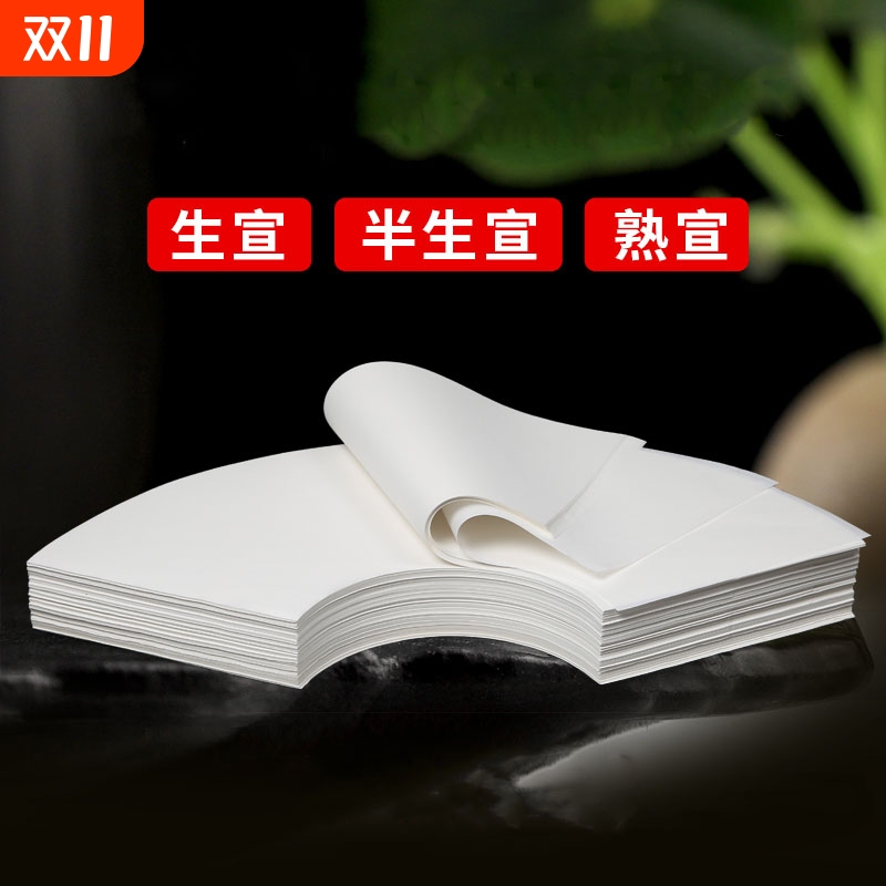 扇形半生熟国画纸芯工笔画书法作品用纸生宣熟宣白描扇面软笔写意山水水墨画白色仿古宣纸空白画芯初学者专用