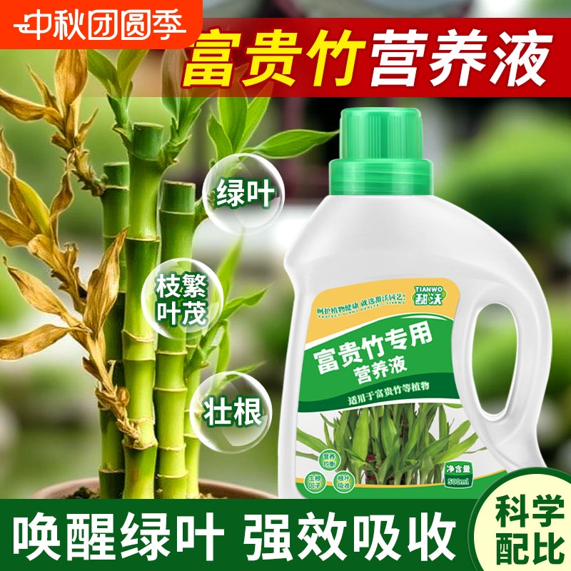 富贵竹营养液专用阳台绿植盆栽水培植物通用型黄叶促生根均衡肥料