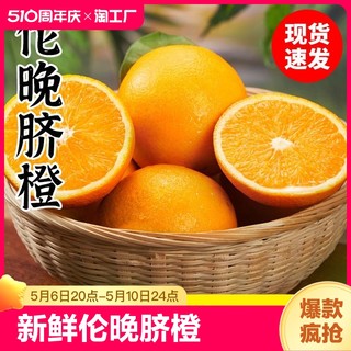伦晚脐橙新鲜橙子当季现摘水果8斤大果甜橙果冻冰糖手剥顺丰包邮