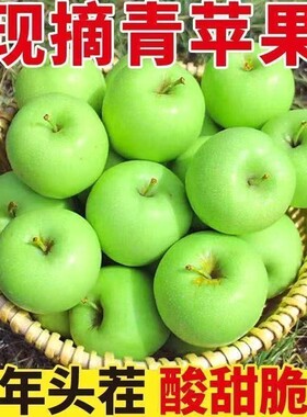 头茬青苹果今年新果新鲜应季水果酸甜孕妇水果青苹果批发