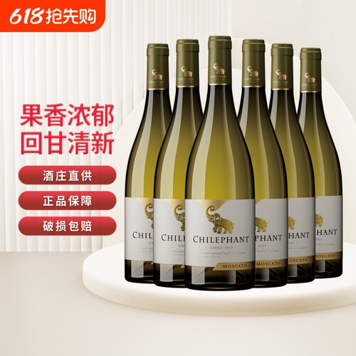 智利进口智象半甜白葡萄酒聚会