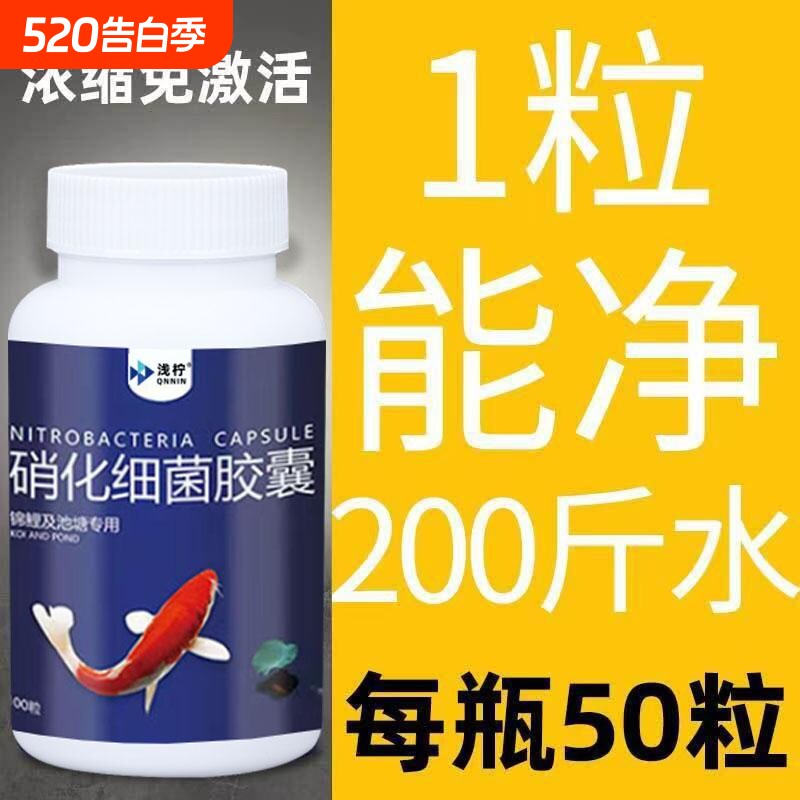 硝化细菌胶囊鱼缸净水剂水质养鱼观赏鱼用活菌分解生态硝酸浓缩
