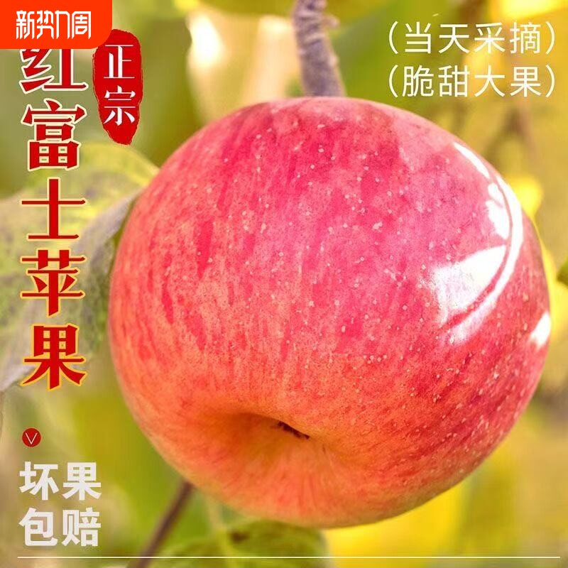 正宗高山冰糖心红富士苹果脆甜丑苹果当季新鲜水果批发一整箱