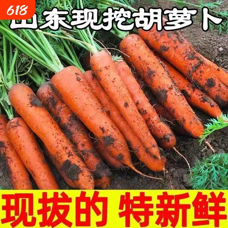 正宗胡萝卜新鲜现挖蔬菜带泥胡萝卜生吃脆甜农家自种胡萝卜整箱