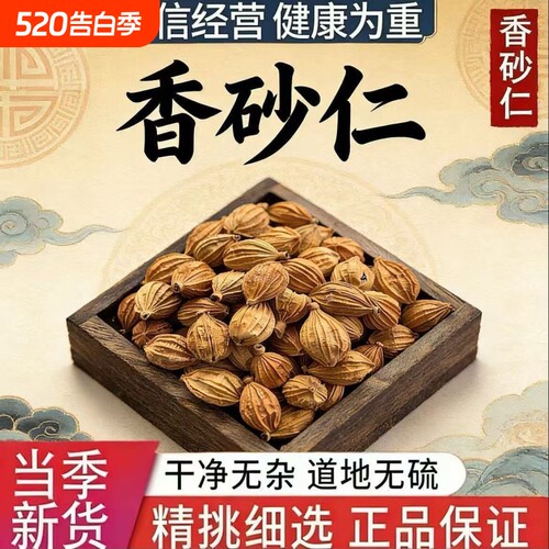 香砂仁四川川砂仁500g商用香料