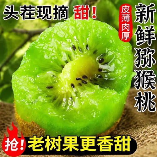 陕西徐香猕猴桃新鲜周至绿心奇异果应当季水果孕妇整箱包邮应季