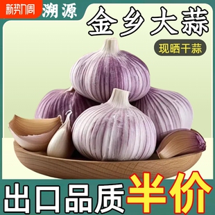 山东农家干大蒜紫皮特大蒜王新鲜蒜头便宜批发特级干蒜 新干蒜