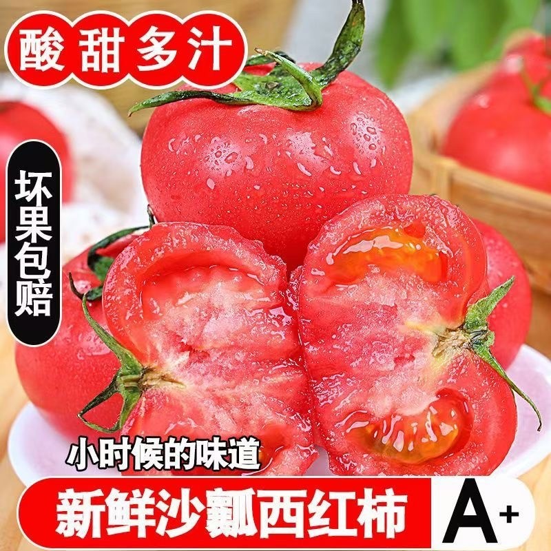 四川攀枝花农家现摘自然熟沙瓤水果西红柿新鲜蔬菜普罗旺斯小番茄,水产肉类/新鲜蔬果/熟食,番茄,淘宝优惠券,粉丝福利购,淘宝优惠卷