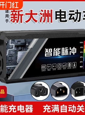 适用原装新大洲电动车电瓶充电器48V12AH60V20AH72V30A新国标铅酸