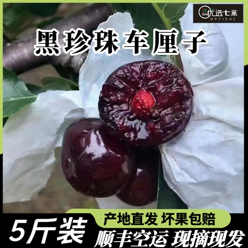 正宗现摘甘肃天水大樱桃黑珍珠套袋黑车厘子特大新鲜孕妇水果整箱