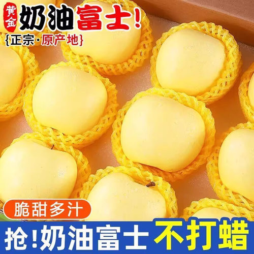 山东烟台黄金奶油富士苹果