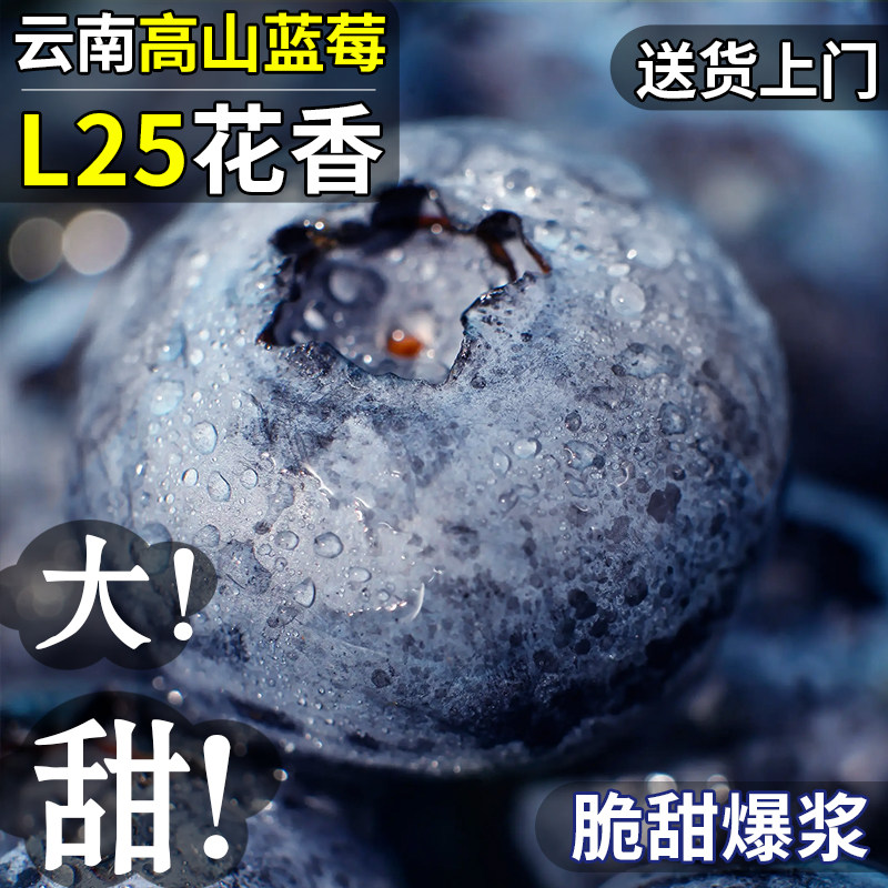现货蓝莓鲜果新鲜水果山东l25蓝莓高山花香怡颗甜莓大果产地直发