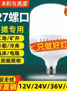 led低压灯12V24V36V48V60V交流直流节能灯E27螺口电瓶太阳能灯泡