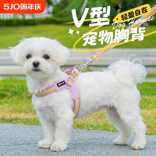 狗狗牵引绳小型宠物背带绳子中小型透气遛狗比熊犬博美犬背带