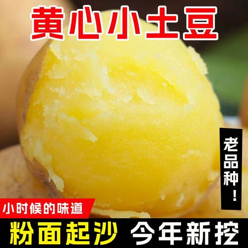 现挖恩施小土豆现挖湖北