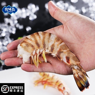 探味岛顺丰包邮福建东山岛新鲜去头斑节虾竹节虾海捕冷冻大虾水产