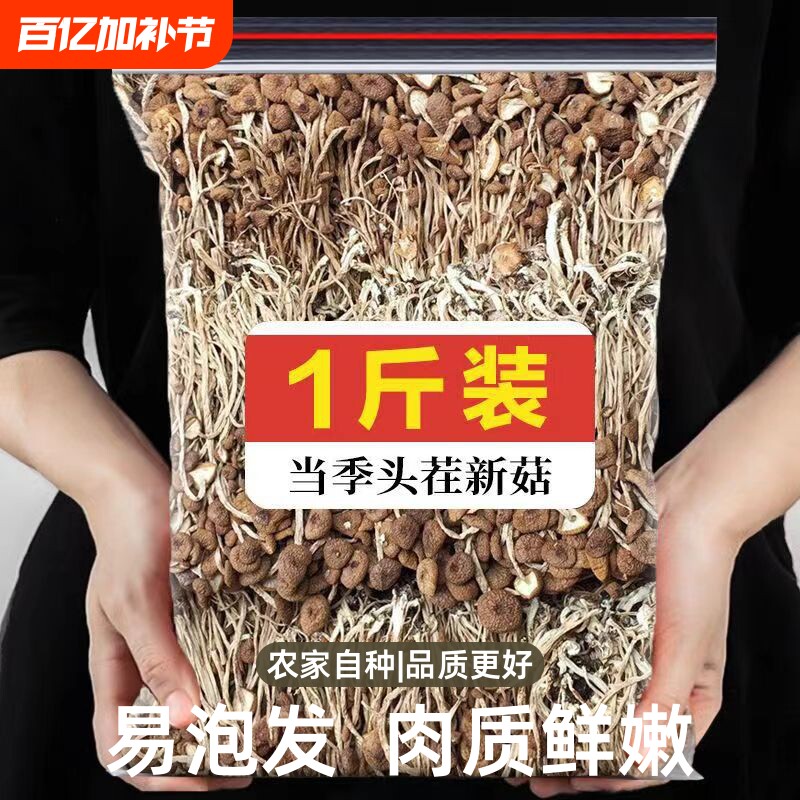 【首单直降】农家茶树菇古田新货500g干货特级茶薪菇无硫香菇蘑菇